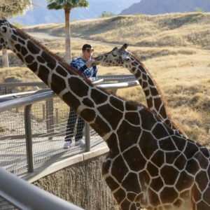 The Living Desert