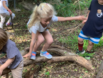 Little Naturalist Nature Camp